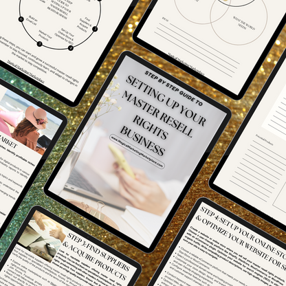 Step By Step Guide To Setting Up Your Master Resell Rights Business